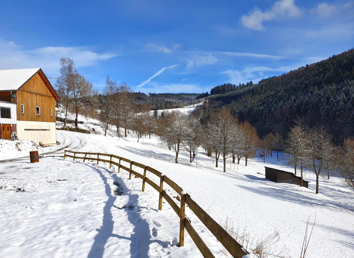 Ferienhaus Familienparadies: Indoor-Spielplatz, Pool und Sauna für 18 Personen Schmallenberg Exterior photo